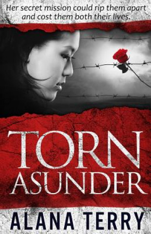 Kniha Torn Asunder Alana Terry