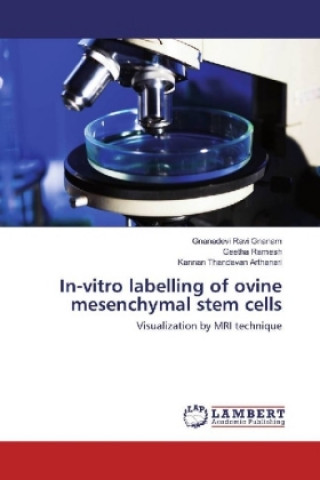 Buch In-vitro labelling of ovine mesenchymal stem cells Gnanadevi Ravi Gnanam