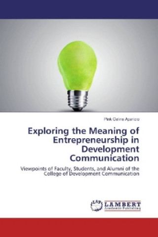 Buch Exploring the Meaning of Entrepreneurship in Development Communication Pink Celine Aparicio