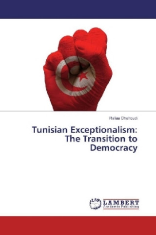 Könyv Tunisian Exceptionalism: The Transition to Democracy Rafaa Chehoudi