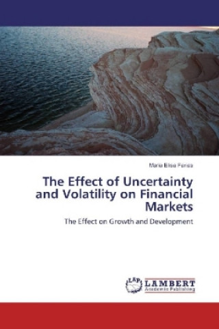 Kniha The Effect of Uncertainty and Volatility on Financial Markets Maria Elisa Farias