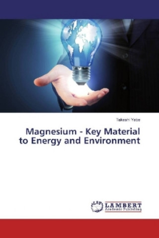 Könyv Magnesium - Key Material to Energy and Environment Takashi Yabe