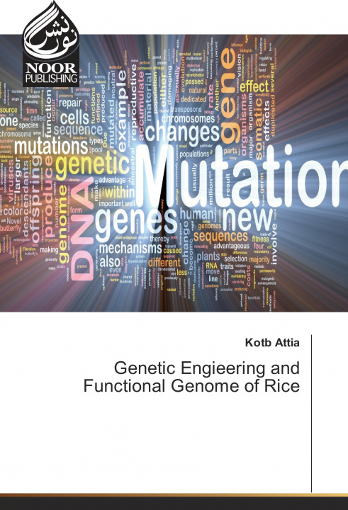 Buch Genetic Engieering and Functional Genome of Rice Kotb Attia