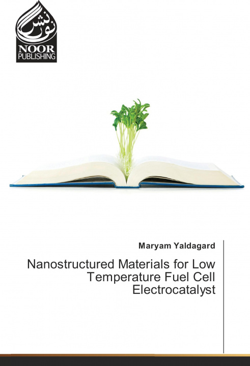 Kniha Nanostructured Materials for Low Temperature Fuel Cell Electrocatalyst Maryam Yaldagard