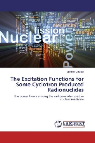 Kniha The Excitation Functions for Some Cyclotron Produced Radionuclides Mohsen Challan