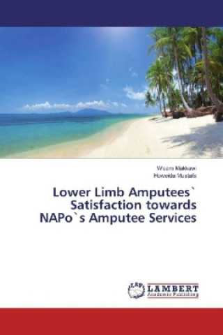 Kniha Lower Limb Amputees` Satisfaction towards NAPo`s Amputee Services Weam Makkawi