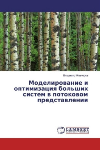 Könyv Modelirovanie i optimizaciya bol'shih sistem v potokovom predstavlenii Vladimir Zhevnerov