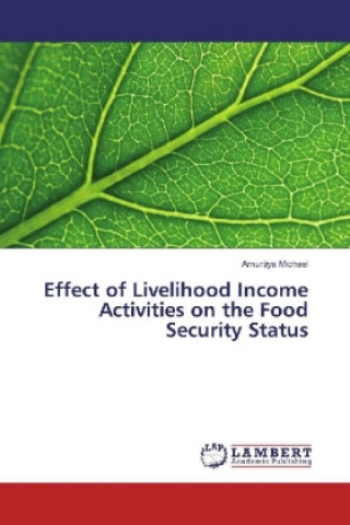 Kniha Effect of Livelihood Income Activities on the Food Security Status Amurtiya Michael
