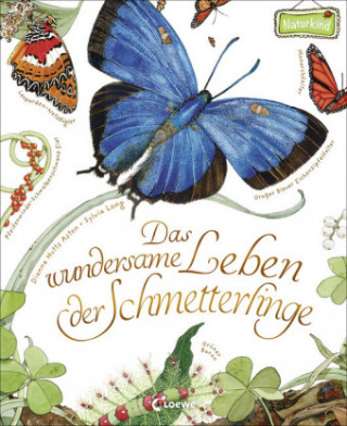 Kniha Das wundersame Leben der Schmetterlinge Dianna Aston