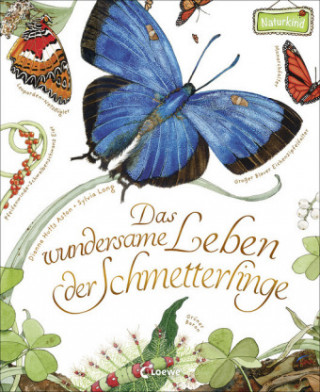 Buch Das wundersame Leben der Schmetterlinge Dianna Aston