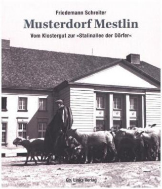 Carte Musterdorf Mestlin Friedemann Schreiter