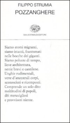 Knjiga Pozzanghere Filippo Strumia