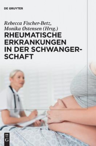 Kniha Rheumatische Erkrankungen in der Schwangerschaft Rebecca Fischer-Betz