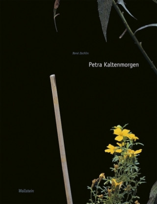 Kniha Petra Kaltenmorgen René Zechlin