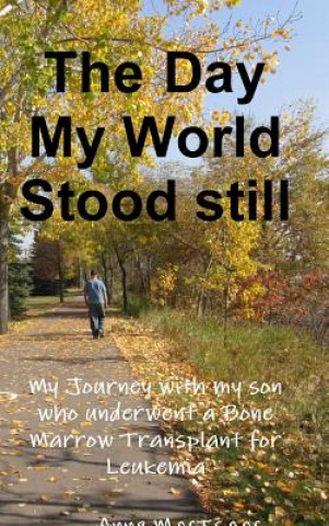 Книга Day My World Stood Still Anne Macisaac