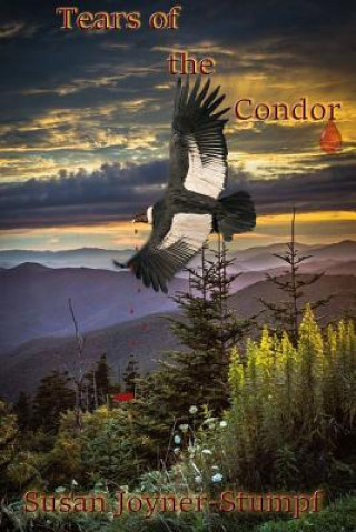 Kniha Tears of the Condor Susan Joyner-Stumpf