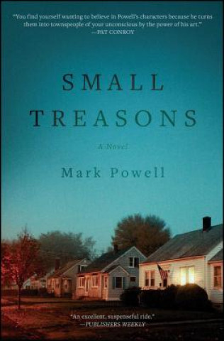 Kniha Small Treasons Mark Powell