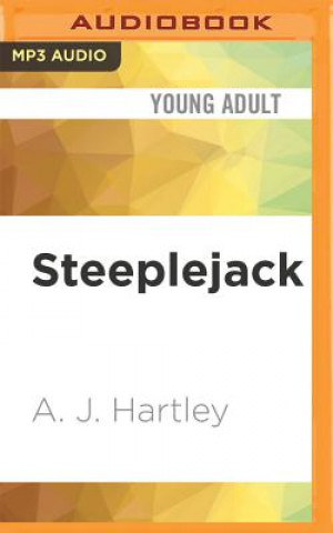 Digital STEEPLEJACK                  M A. J. Hartley