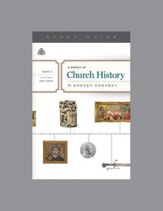 Könyv SURVEY OF CHURCH HIST PART 2 A W. Robert Godfrey