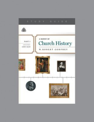 Könyv SURVEY OF CHURCH HIST PART 3 A W. Robert Godfrey