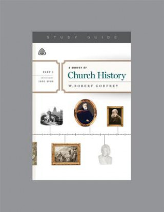 Könyv SURVEY OF CHURCH HIST PART 5 A W. Robert Godfrey