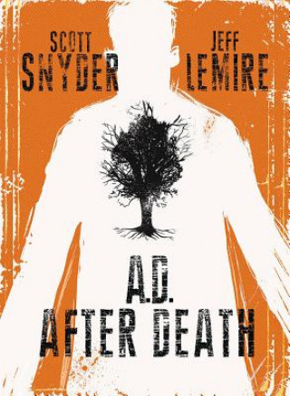 Kniha AD After Death Scott Snyder