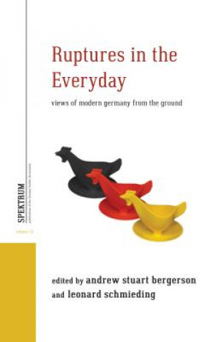 Kniha Ruptures in the Everyday Andrew Stuart Bergerson
