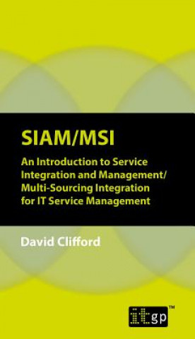 Könyv SIAM/MSI It Governance