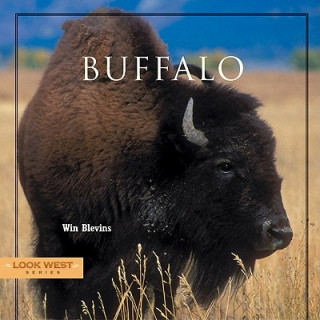 Buch BUFFALO Win Blevins