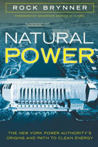 Kniha Natural Power Rock Brynner