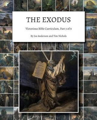 Könyv Exodus Joe Anderson