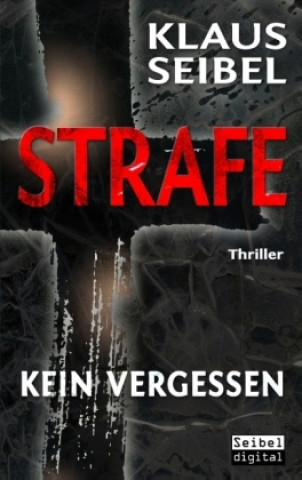 Buch Strafe - Kein Vergessen Klaus Seibel