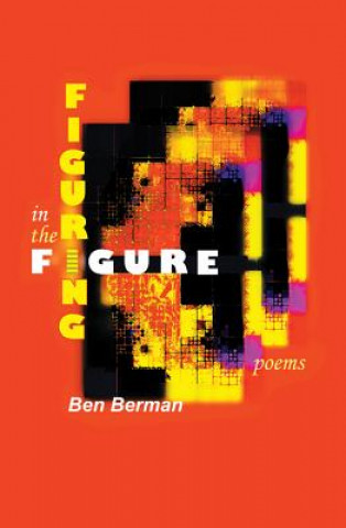 Buch Figuring in the Figure Ben Berman