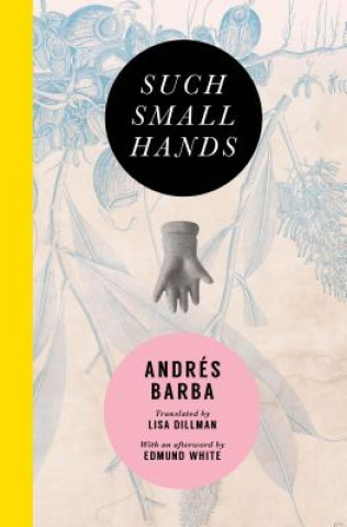 Könyv Such Small Hands Andres Barba