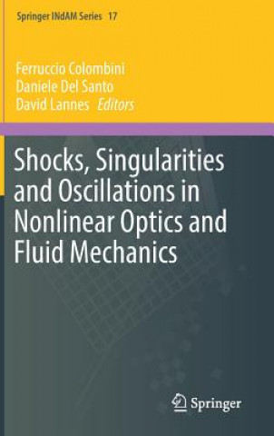 Kniha Shocks, Singularities and Oscillations in Nonlinear Optics and Fluid Mechanics Ferruccio Colombini