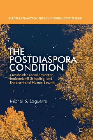 Kniha Postdiaspora Condition Michel S. Laguerre