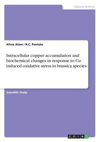Carte Intracellular copper accumulation and biochemical changes in response to Cu induced oxidative stress in brassica species Afroz Alam