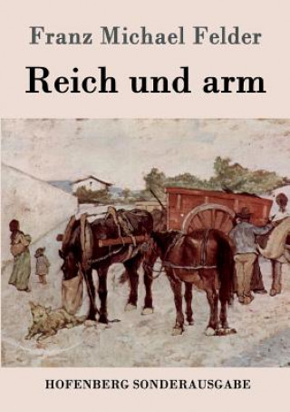 Kniha Reich und arm Franz Michael Felder