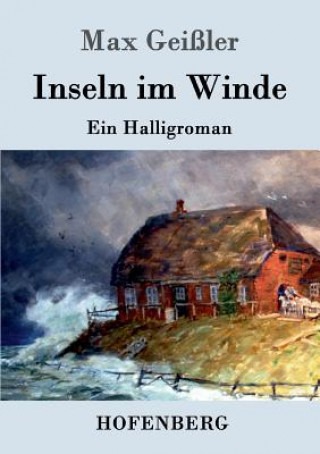 Könyv Inseln im Winde Max Geißler