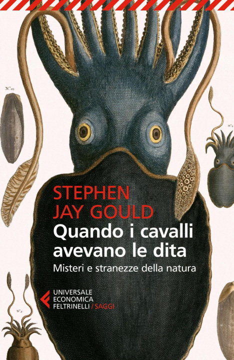 Książka Quando i cavalli avevano le dita. Misteri e stranezze della natura Stephen J. Gould