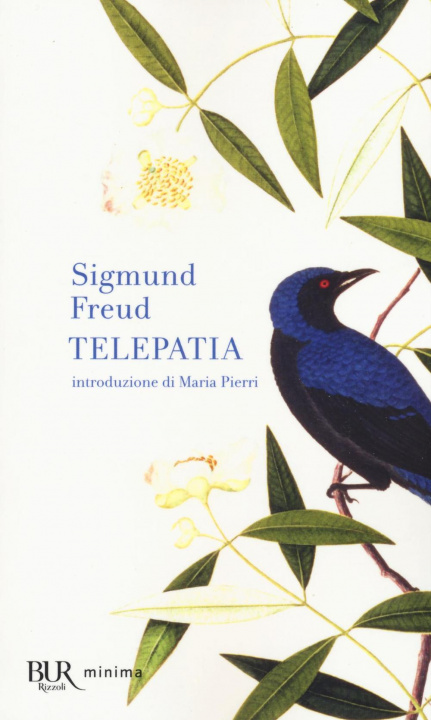Knjiga Telepatia Alberto Luchetti