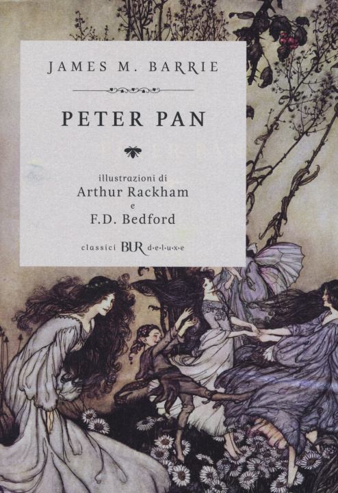 Buch Peter Pan James M. Barrie