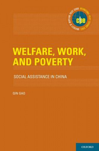 Könyv Welfare, Work, and Poverty Qin Gao