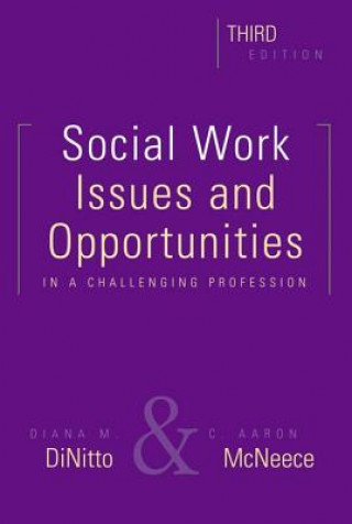 Książka Social Work, Third Edition Diana M. Dinitto