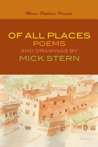 Kniha Of All Places - New Mick Stern