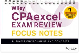 Kniha Wiley CPAexcel Exam Review January 2017 Focus Notes WILEY