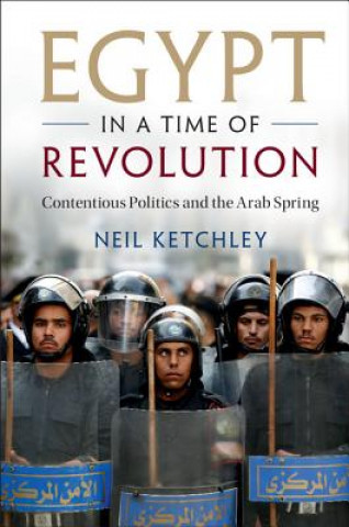 Kniha Egypt in a Time of Revolution Neil Ketchley