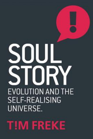 Kniha Soul Story Tim Freke