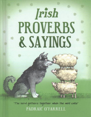 Buch Irish Proverbs and Sayings Padraic O'Farrell