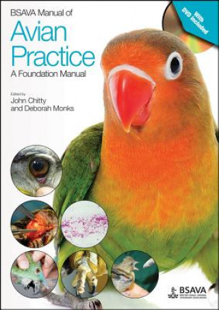 Книга BSAVA Manual of Avian Practice - A Foundation Manual John Chitty